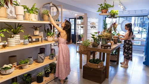 Small botanical business with two females employees organizing products and displays